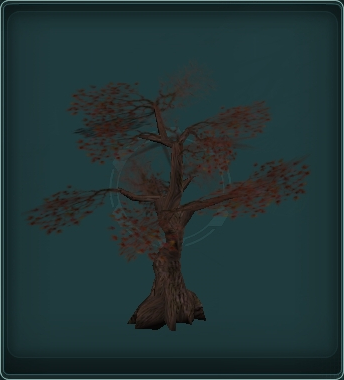 Dathomirian Black Tree