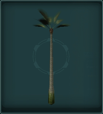 Palm Tree (Style 1)