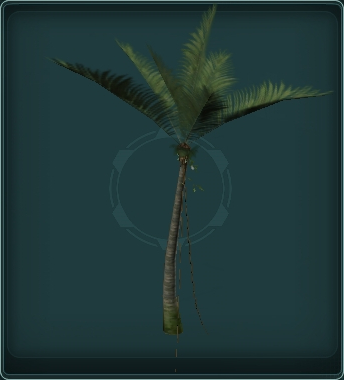 Palm Tree (Style 4)